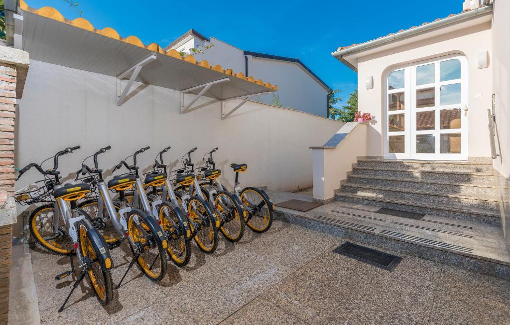 Jízda na kole v ubytování Apartments Vita nebo okolí