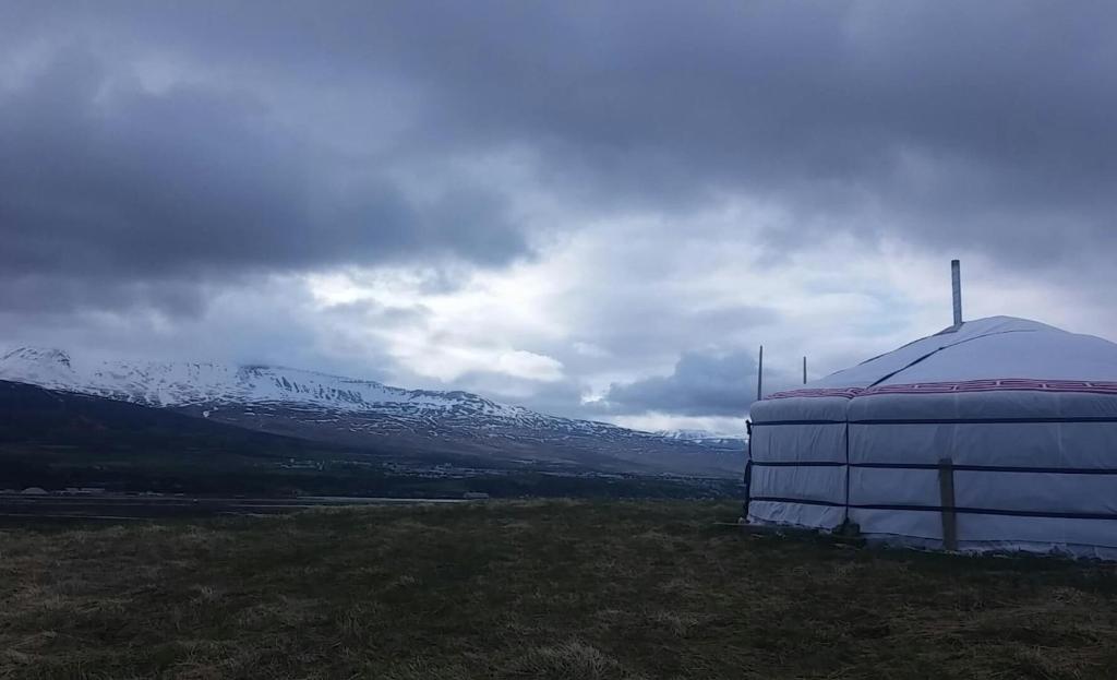 Příroda nedaleko luxury tent