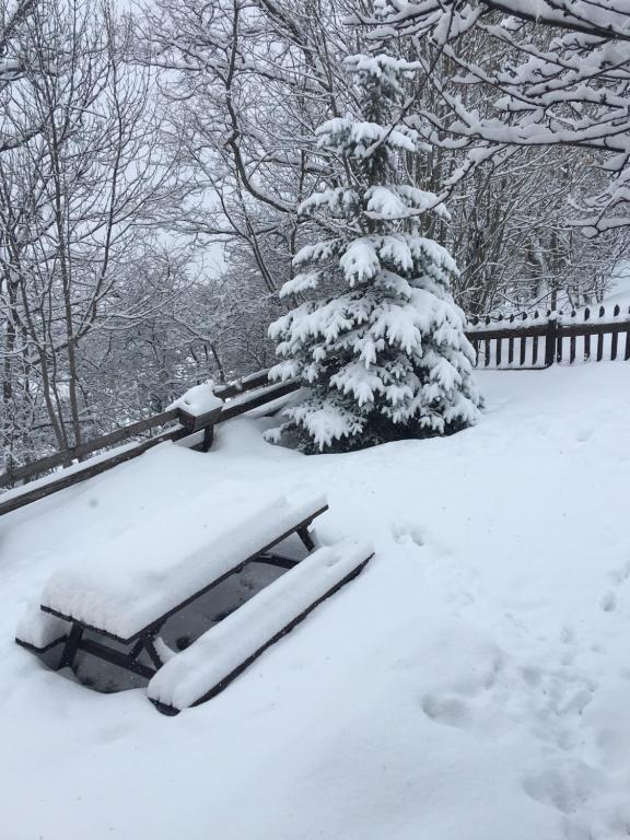 a car covered in snow next to a christmas tree at En pleine nature avec jardin in Les Blancs