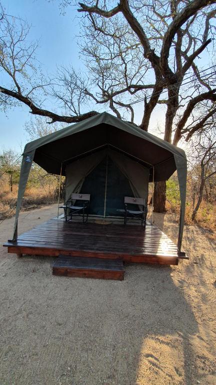 Gallery image of Mzsingitana Tented Camp in Hoedspruit