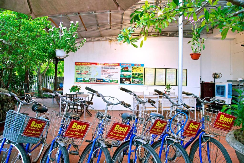Fotografie z fotogalerie ubytování Basil Homestay v destinaci Hoi An