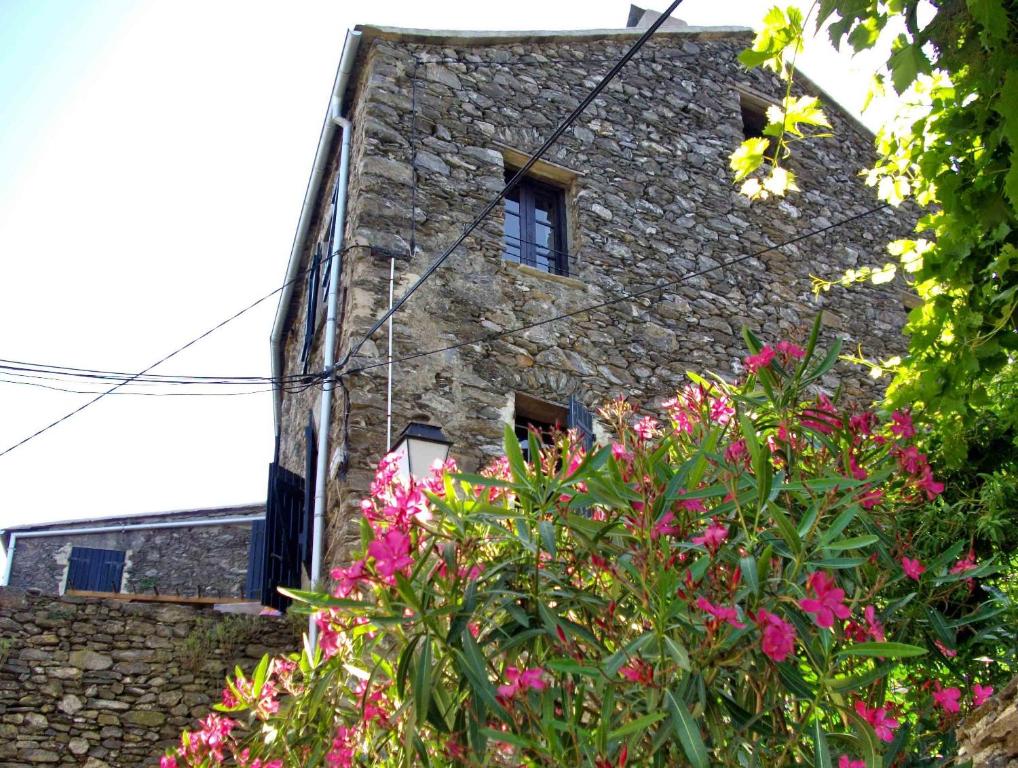 un edificio de piedra con flores rosas delante de él en Sole e Ventu (70 qm), en San-Giovanni-di-Moriani