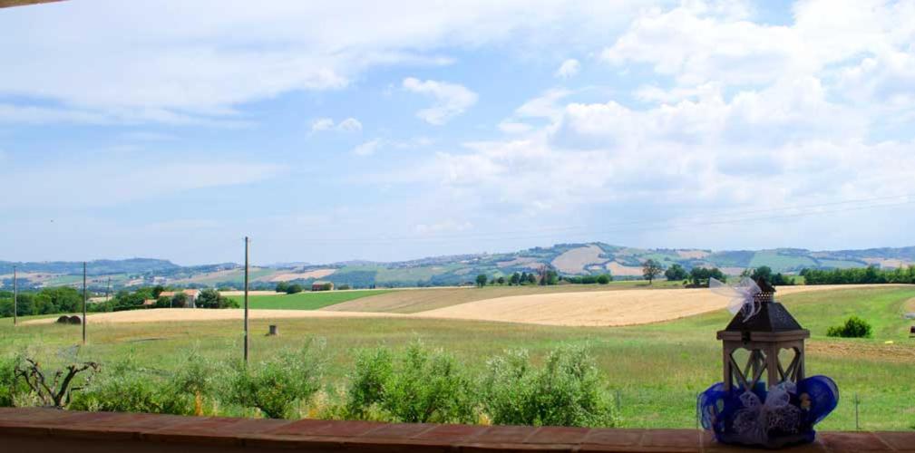 a view of a field and a street light at B&B Armonia in Montecosaro