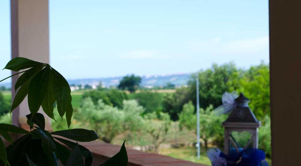 Zahrada ubytování B&B Armonia