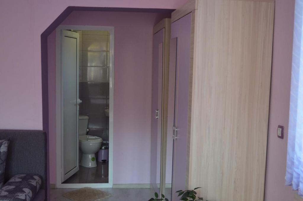 ein Bad mit WC in einem Zimmer mit lila Wänden in der Unterkunft Villa Ribarica in Ribarica