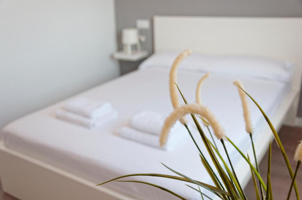 a white bed with a plant on top of it at Mallorca Rooms Can Pastilla in Can Pastilla