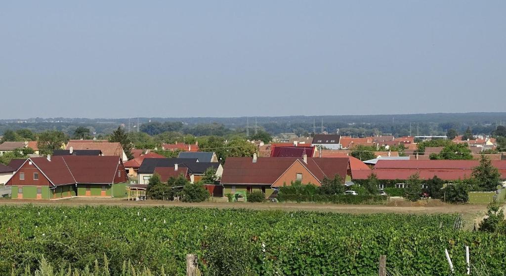 a view of a town with houses at Penzion Pod Vápenkami in Strážnice