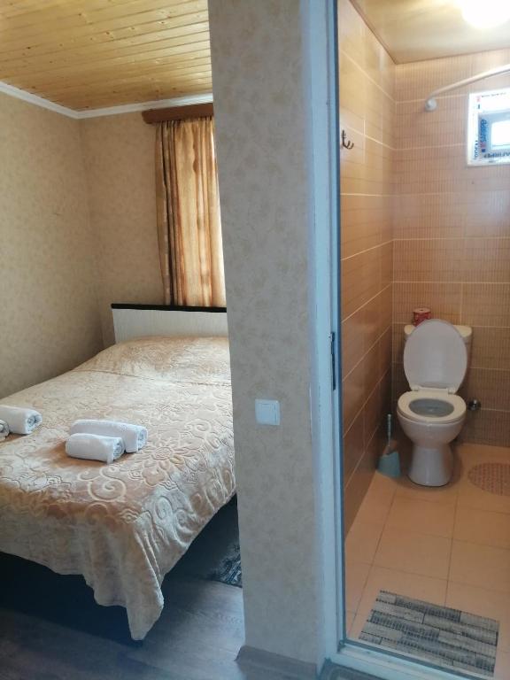 Koupelna v ubytování Jeiran Japaridze's Guesthouse