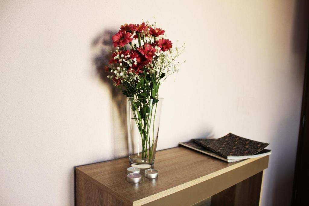 Fotografie z fotogalerie ubytování Mimoza Apartments v destinaci Đenovići