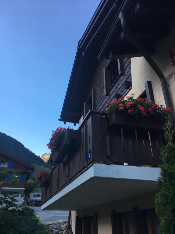 Nespecifikovaný výhled na hory nebo výhled na hory při pohledu z hotelu