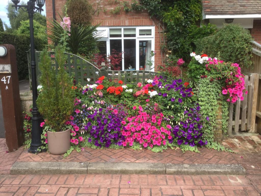 a garden of flowers in front of a house at Albertine in Lymington