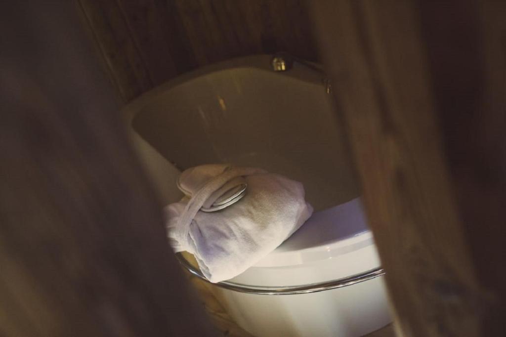 Fotografie z fotogalerie ubytování Alpen Hotel Chalet ve Valdidentru