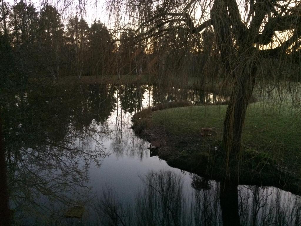 a reflection of a tree in a lake at Domaine de la Richardelle in Courtenay