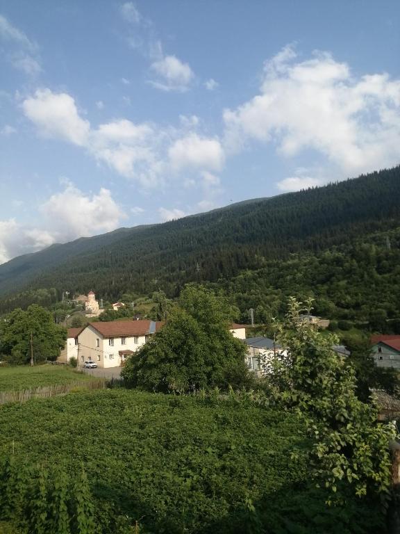 Příroda nedaleko penzionu