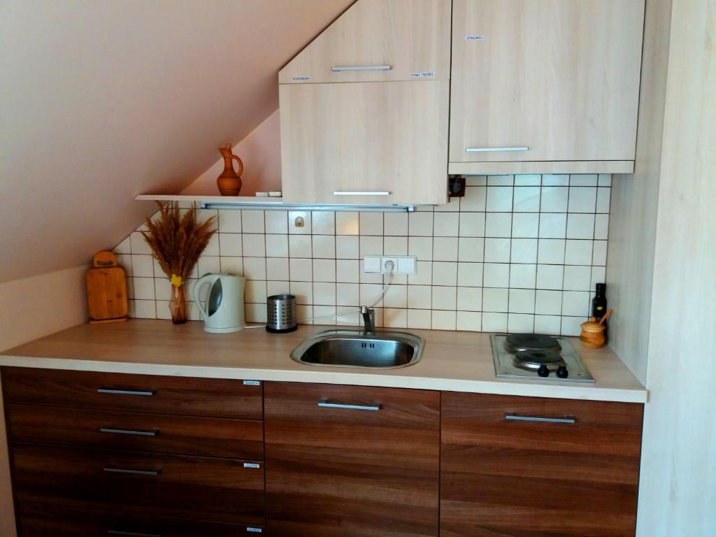 Kuchyň nebo kuchyňský kout v ubytování Vila Liepa