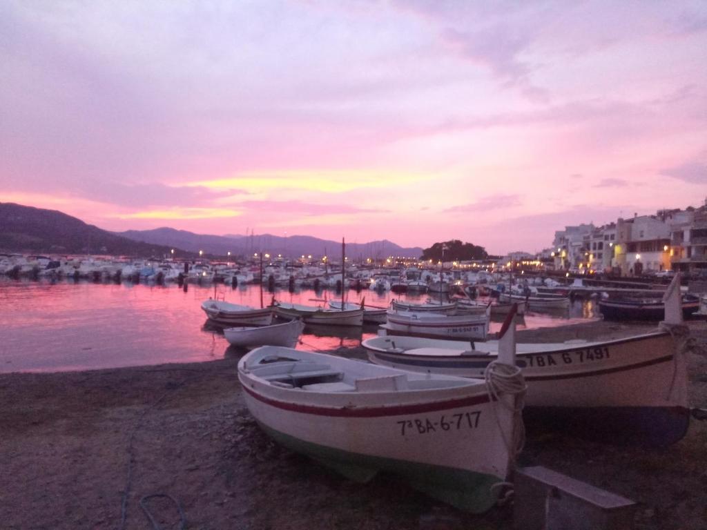 un grupo de barcos estacionados en la orilla de un puerto en Casa EL PORT DE LA SELVA, en Port de la Selva