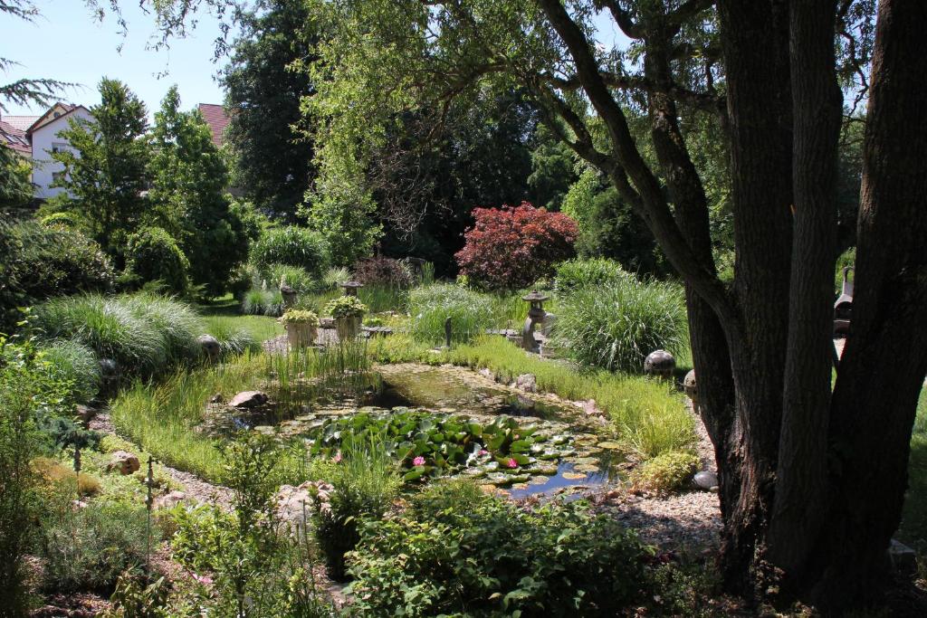 a garden with a pond and many plants at FeWo - Wohlfühlambiente & Gartenparadies in Modautal