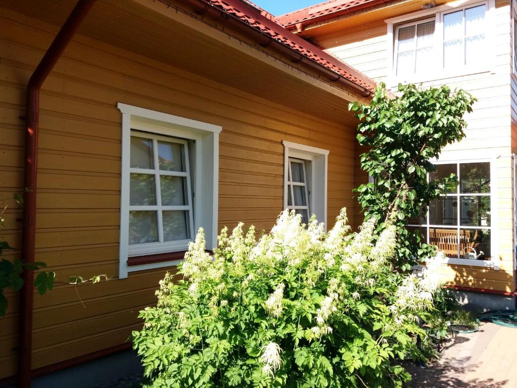 Zahrada ubytování Vila Liepa