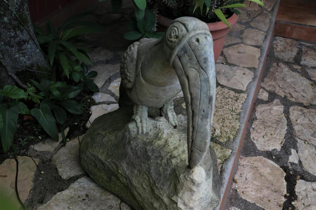 Fotografie z fotogalerie ubytování Hotel Buena Vista v destinaci Copan Ruinas