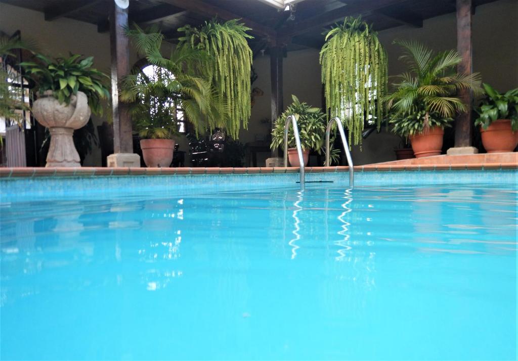 Fotografie z fotogalerie ubytování Hotel Buena Vista v destinaci Copan Ruinas