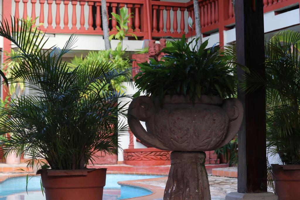Fotografie z fotogalerie ubytování Hotel Buena Vista v destinaci Copan Ruinas