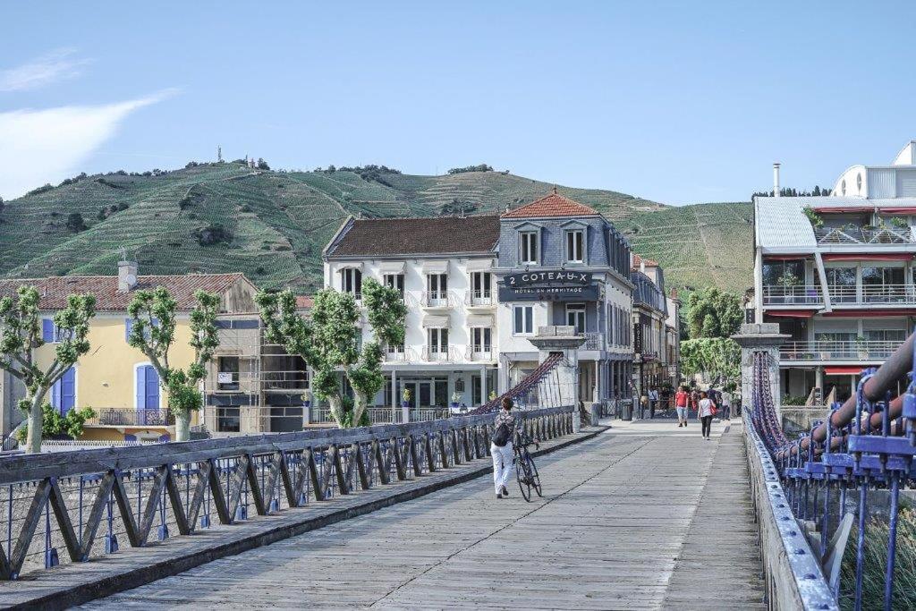 een vrouw die haar hond op een brug laat lopen bij Hôtel Les Deux Coteaux in Tain-lʼHermitage