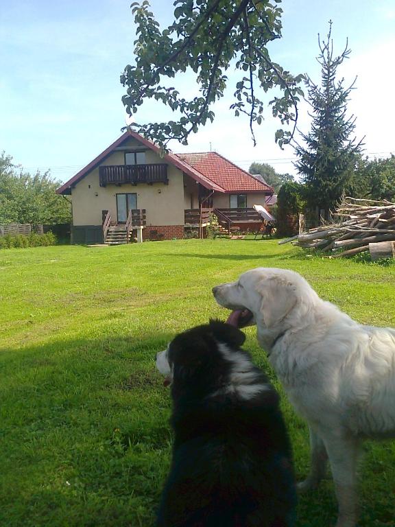 Fotografie z fotogalerie ubytování Agroturystyka Sielana v destinaci Kostrzyca