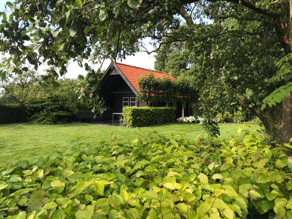 una casa con muchas plantas verdes delante de ella en Polderhuus Galatheapolder en Achthuizen