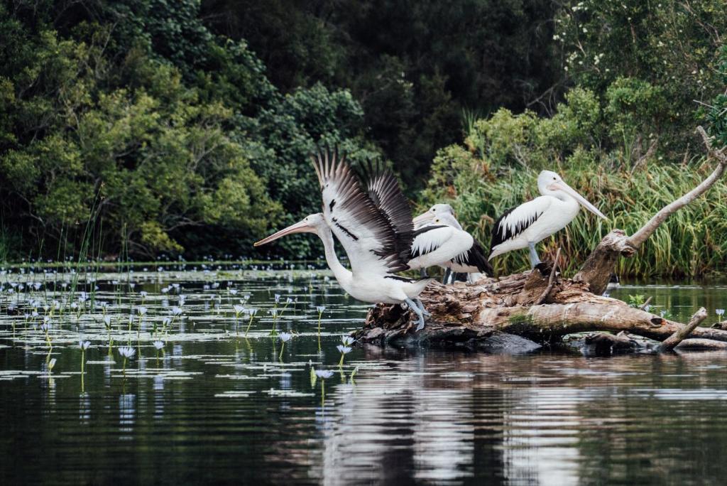 Paesaggio naturale nelle vicinanze di questo campeggio di lusso