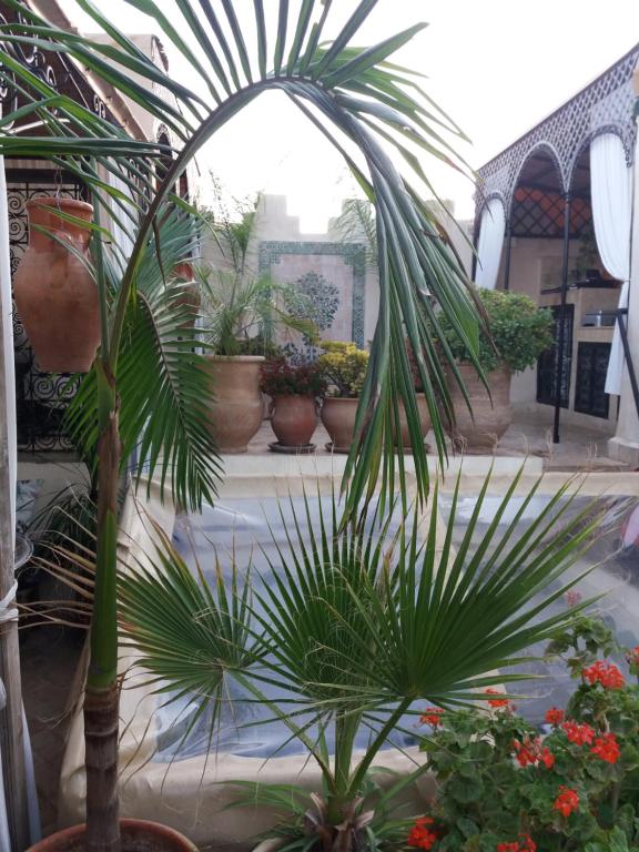 Zahrada ubytování Riad Dar Arsama