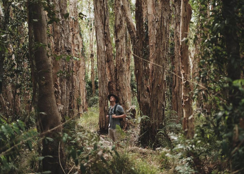 Ospiti di Habitat Noosa
