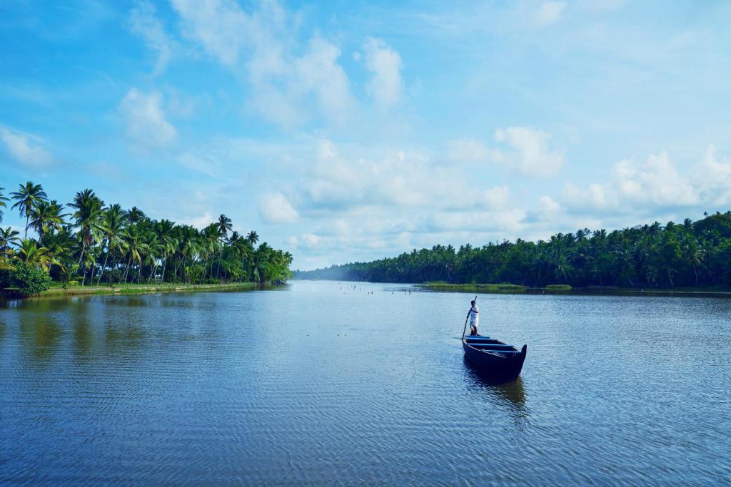 Ein Mann in einem Boot auf einem Fluss mit Palmen. in der Unterkunft Taj Green Cove Resort and Spa Kovalam in Kovalam