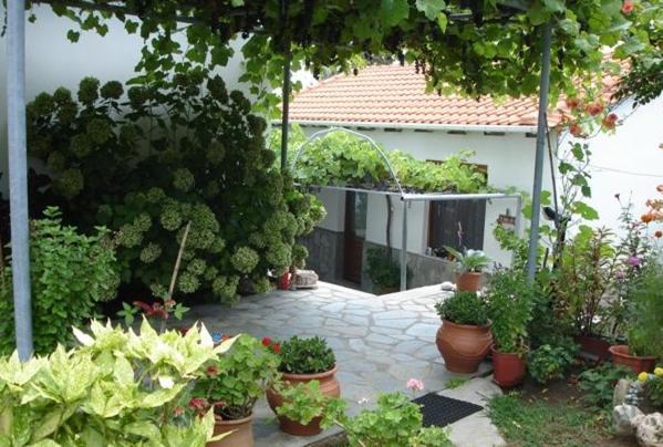 Zahrada ubytování Pension Marina