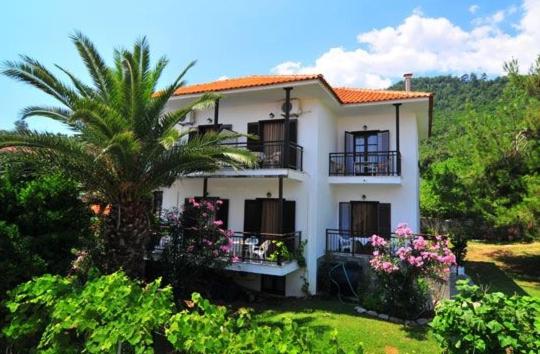 a white house with a palm tree in front of it at Pension Marina in Kinira