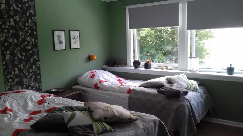 Cette chambre comprend 2 lits dans une chambre dotée de murs verts et d'une fenêtre. dans l'établissement B & B Mølgaard by Skjern, à Skjern