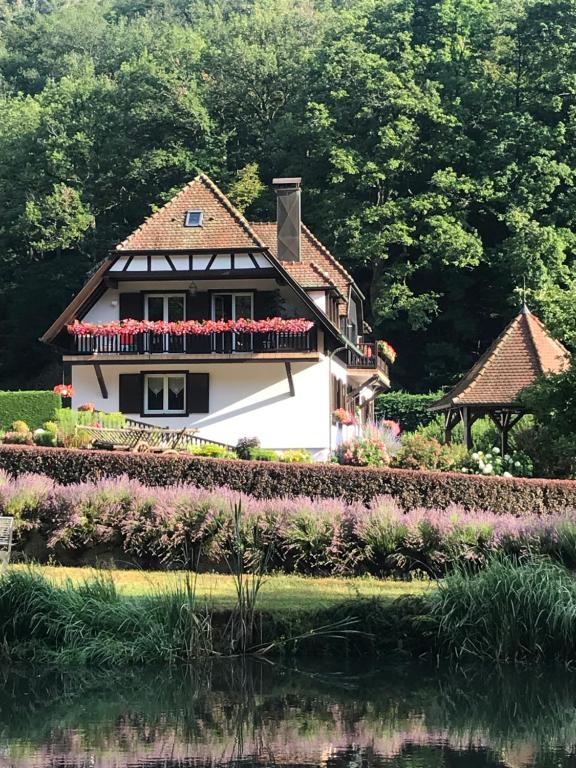 une maison fleurie en face d'un lac dans l'établissement Chambres d'hôtes Maison Efftermatten, à Andlau