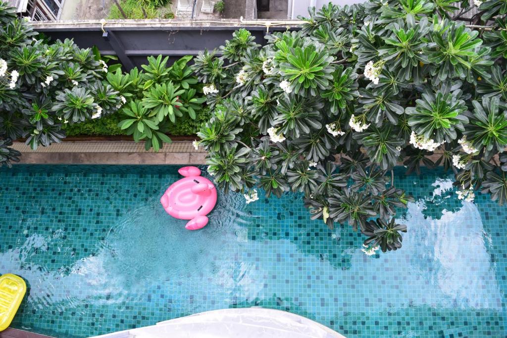 A tiled swimming pool bordered by flowering greenery and a pink swan float.