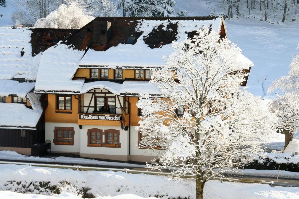 Hotel Gasthaus Hirschen im Hochschwarzwald Todtnau nahe Feldberg saat musim dingin