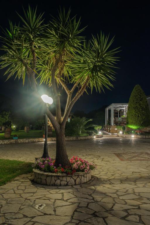 Vrt ispred objekta Mystic Garden Apartments