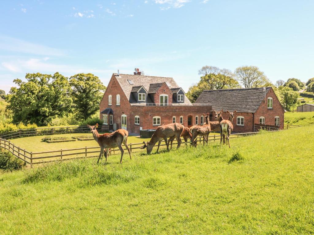 a group of horses standing in a field in front of a house at Highcroft in Belper