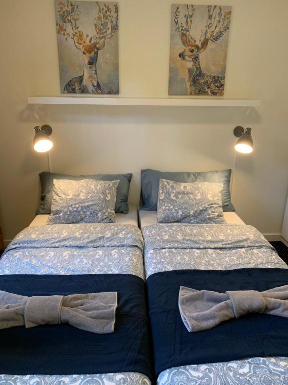 2 nebeneinander sitzende Betten in einem Schlafzimmer in der Unterkunft Noah longstay Arboga in Arboga