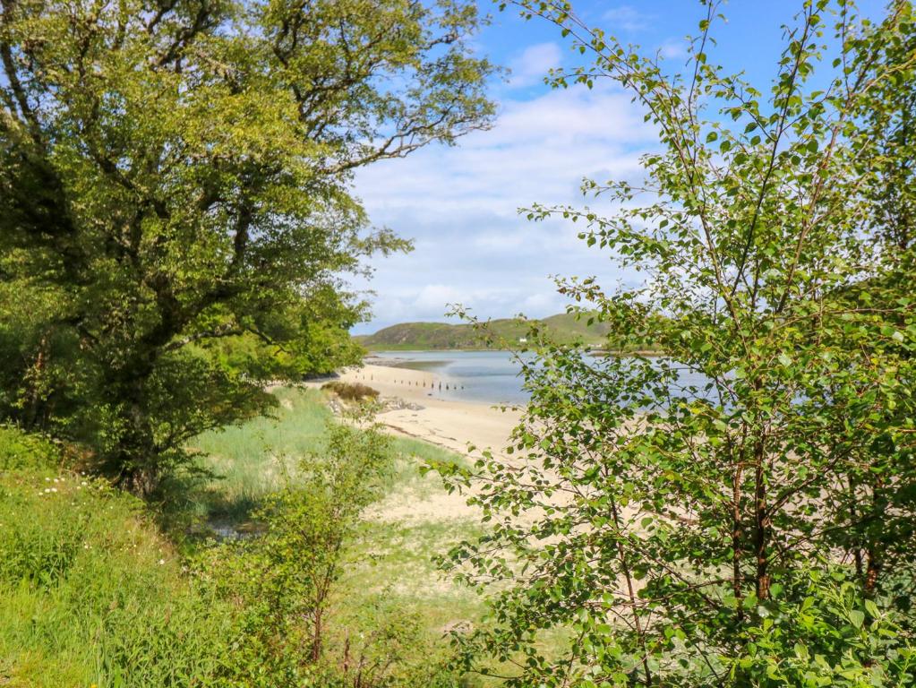 a view of a beach through the trees at 2 Tougal in Mallaig