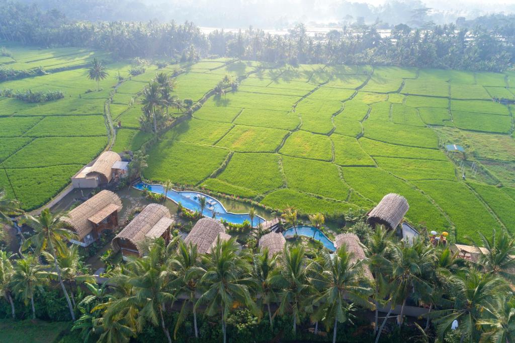 una vista aérea de un complejo en un campo de arroz en Beehouse Dijiwa Ubud en Ubud