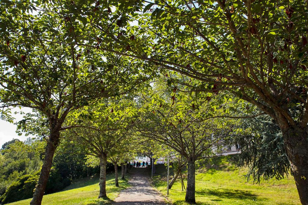 A garden outside Hotel San Lázaro