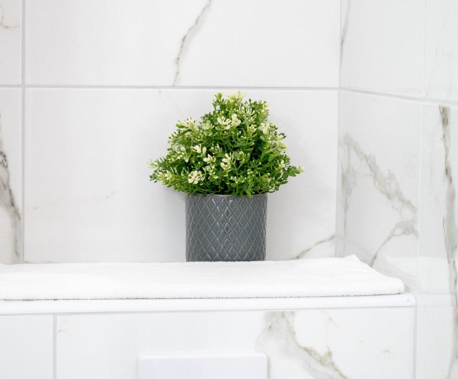 Hotel Vienna - Resim 20