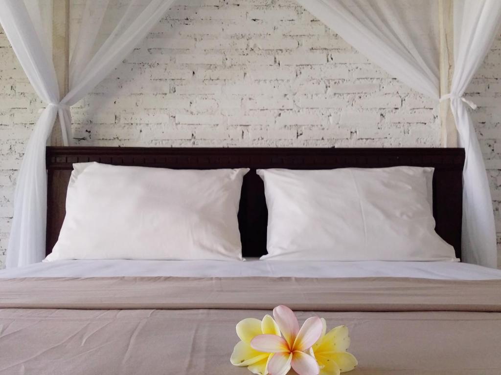 Jungle House - surf & stay - 2