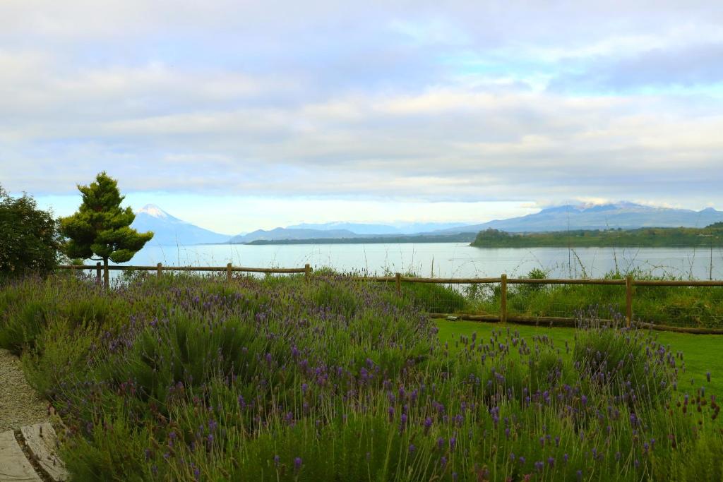Paisagem natural perto do hotel