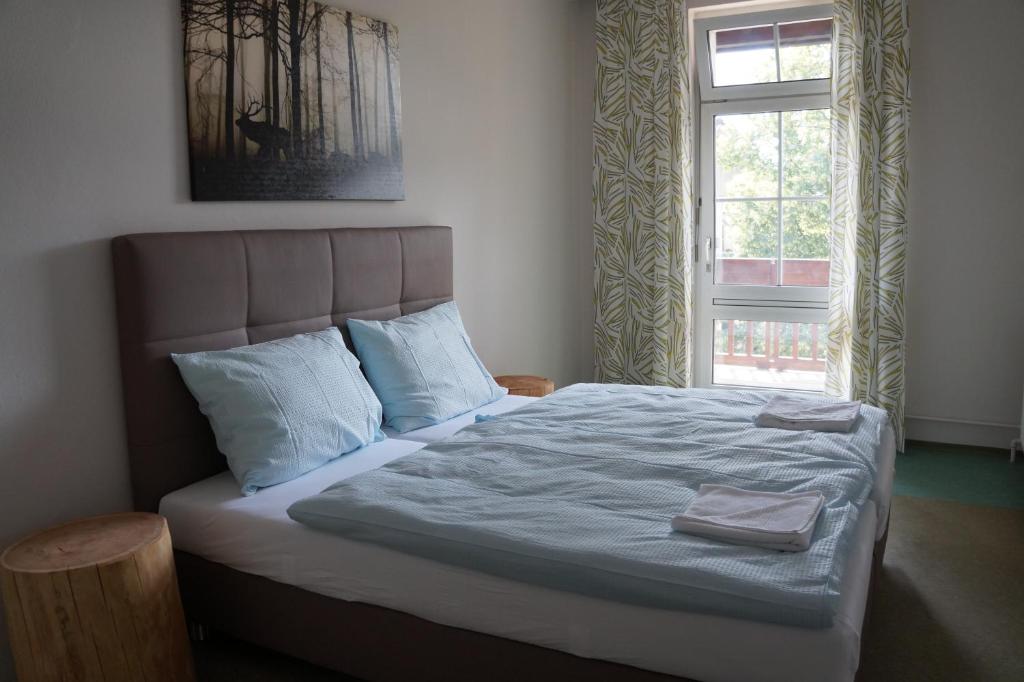 Postel nebo postele na pokoji v ubytování Luise Wehrenfennig & Haus EvA