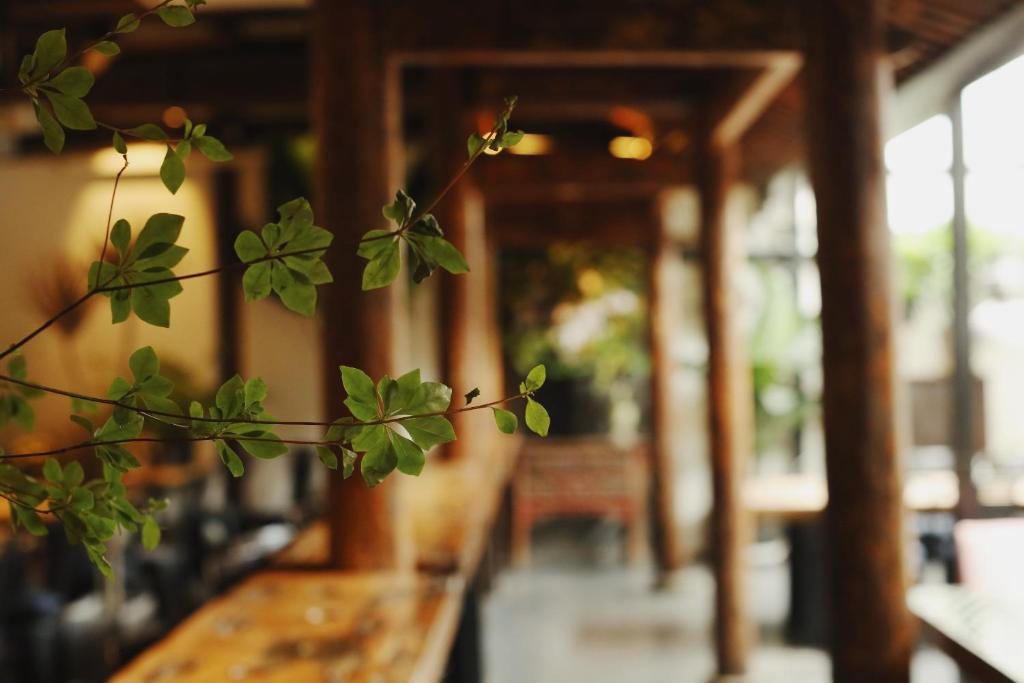 Fotografie z fotogalerie ubytování Peking Yard Boutique Hotel v Pekingu