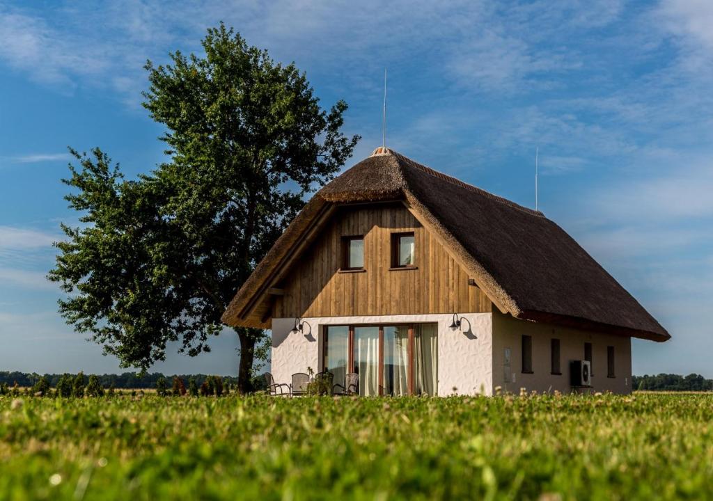 ein Haus mit einem Strohdach auf einem Feld in der Unterkunft Panonska Vas Apartments in Moravske-Toplice